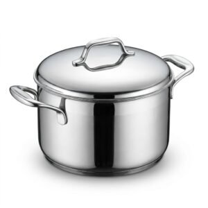 Stainless Steel Cooking Pot
